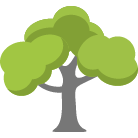 Murfreesboro Tree Removal