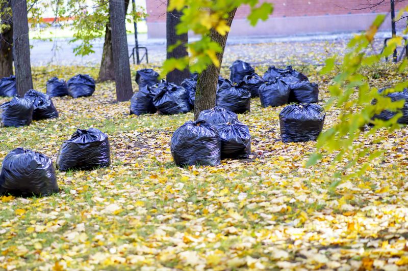 Leaf Collection Bags