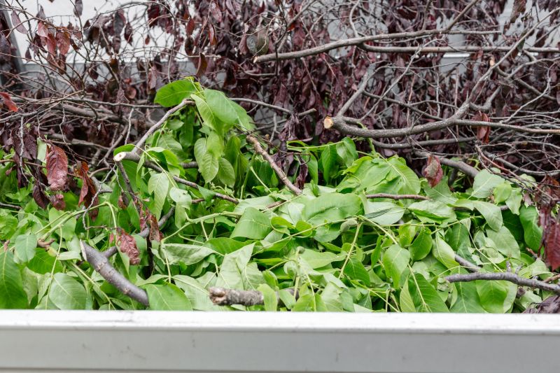 Leaf Collection Process