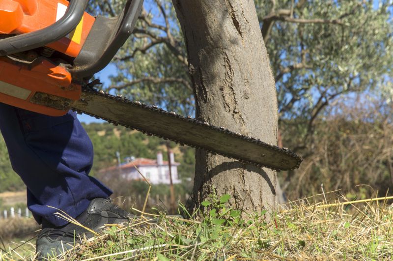 Tree Cutting Tools