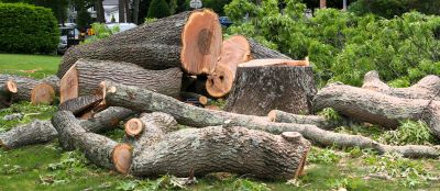 Property Restoration