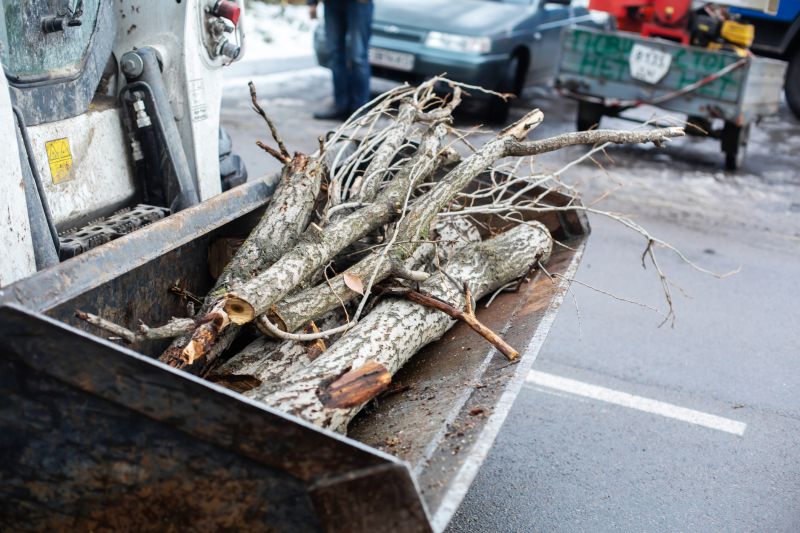 Tree Removal Equipment