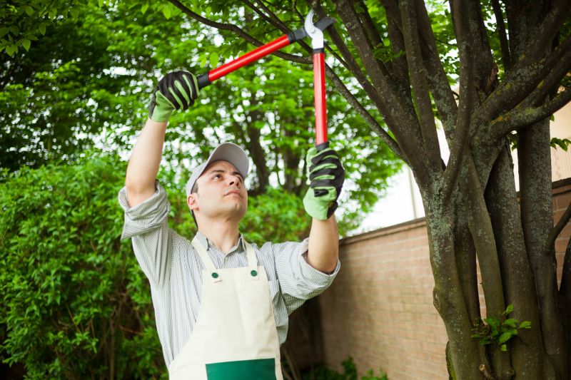 Healthy Tree Pruning