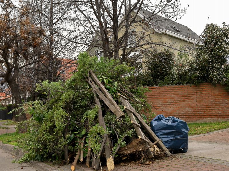 Cleanup and Disposal